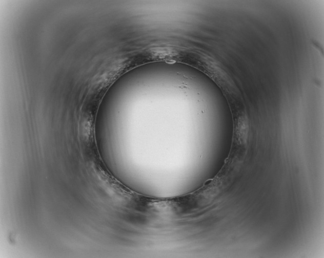 X0000103270417200808291244