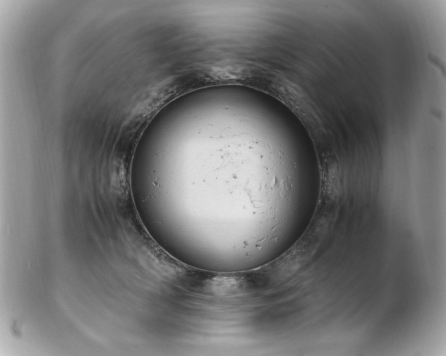 X0000103270418200808291244