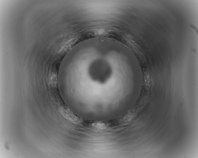 X0000103270419200808291244