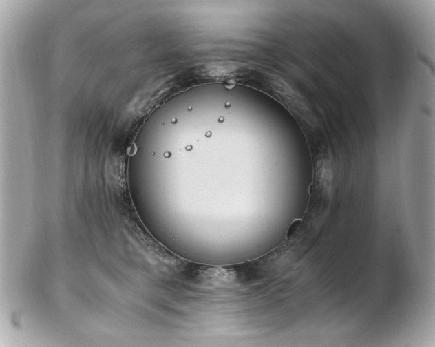 X0000103270421200808291244