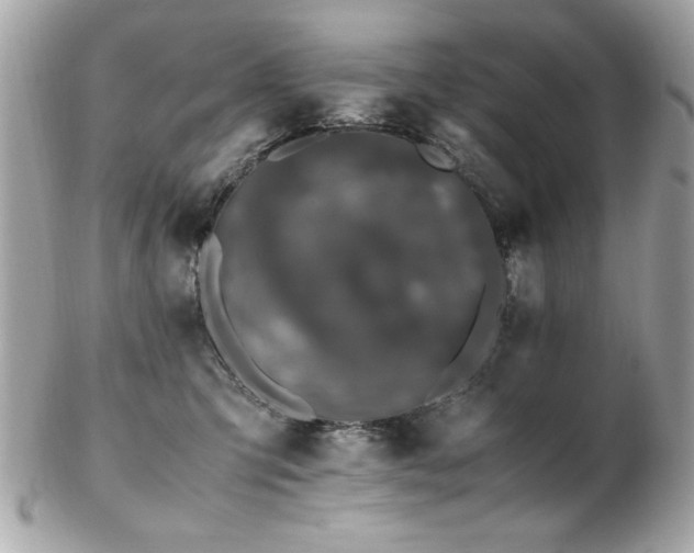 X0000103270423200808291244