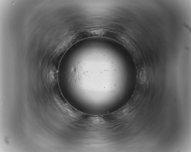 X0000103270424200808291244