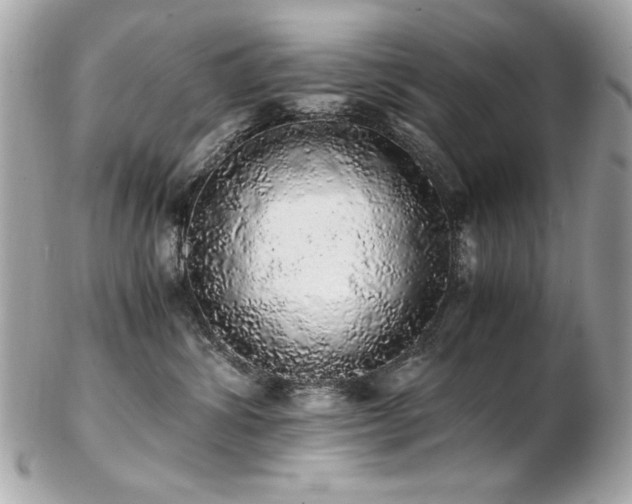 X0000103270428200808291244