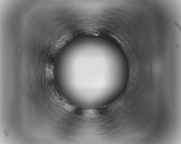 X0000103270432200808291244