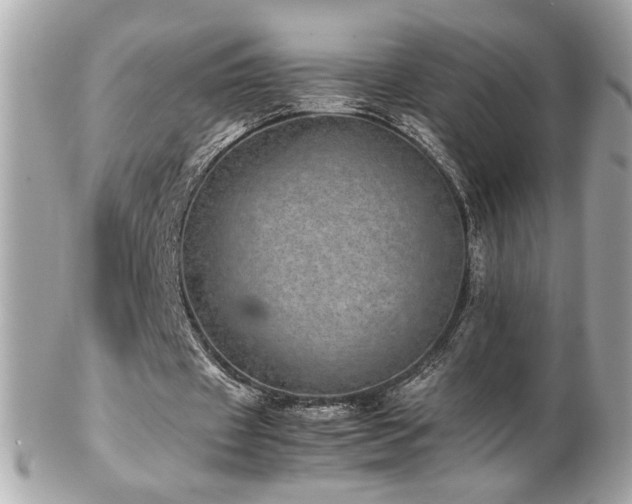 X0000103270433200808291244