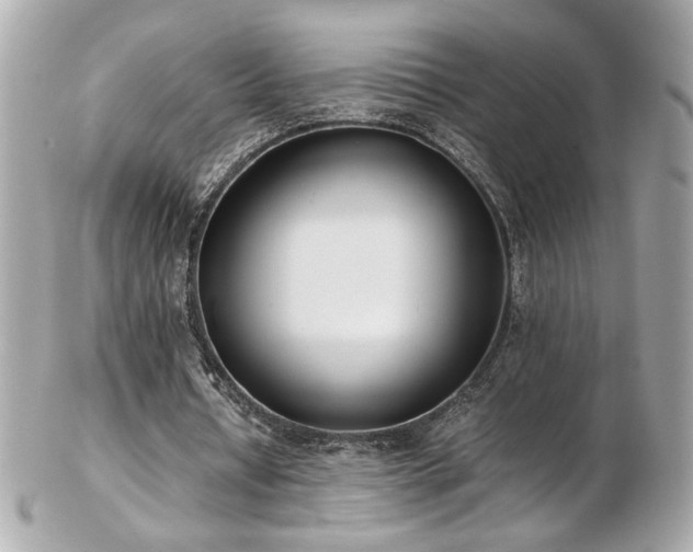 X0000103270434200808291244