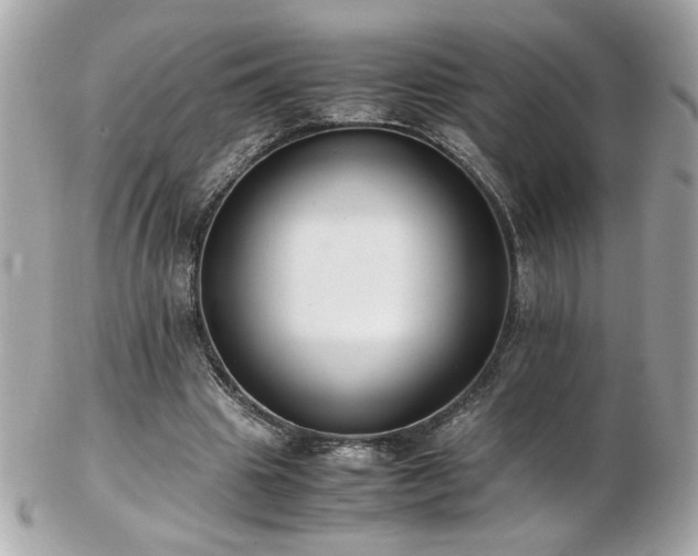 X0000103270441200808291244