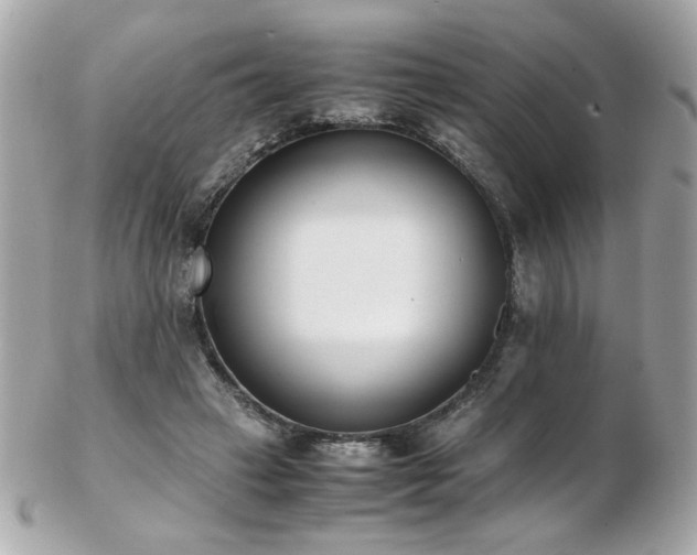 X0000103270449200808291244