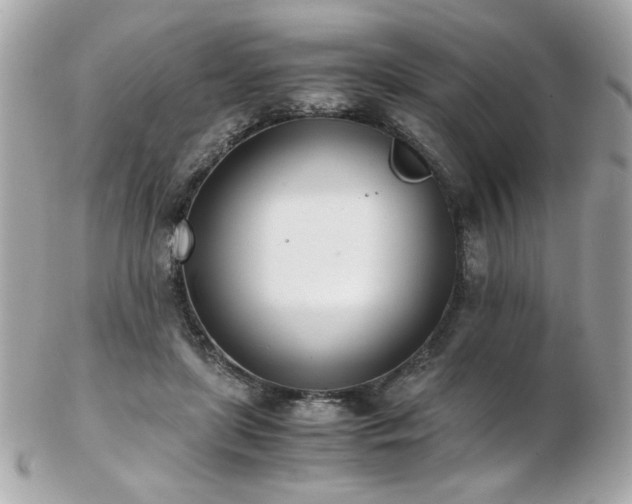 X0000103270451200808291244