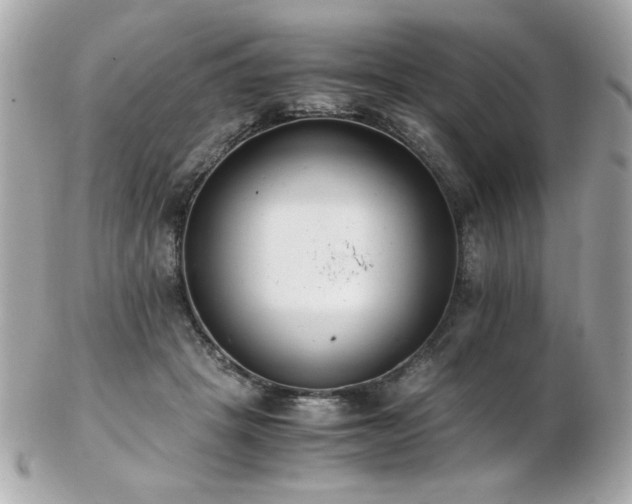 X0000103270457200808291244
