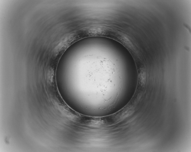 X0000103270458200808291244