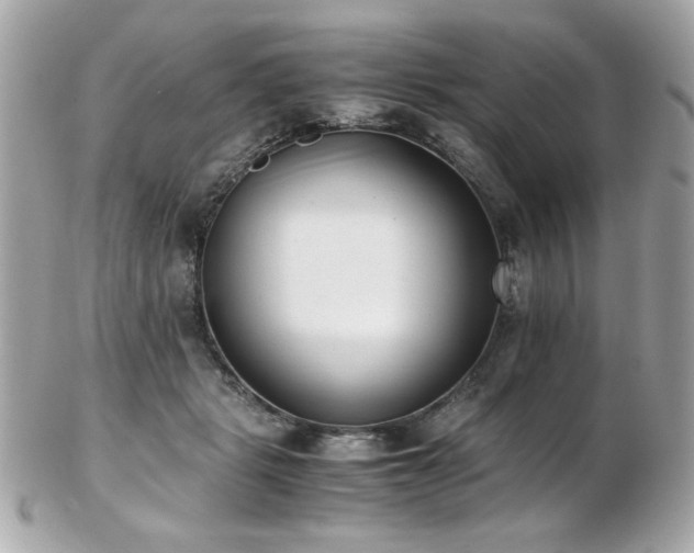 X0000103270461200808291244