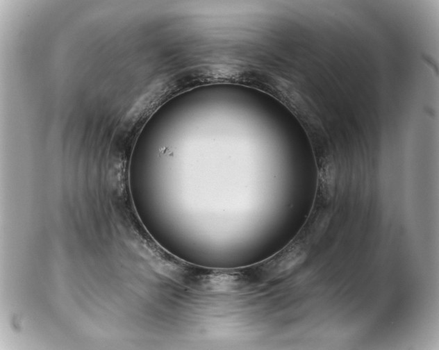 X0000103270462200808291244