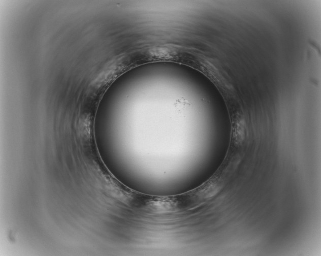 X0000103270466200808291244