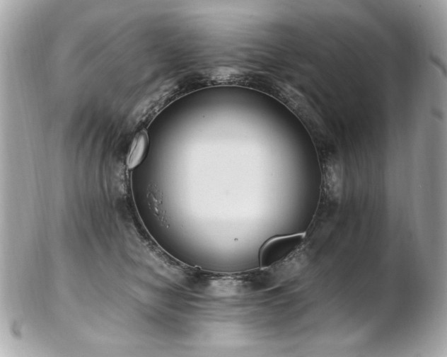 X0000103270470200808291244