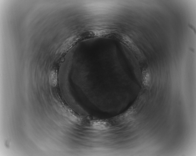 X0000103270471200808291244