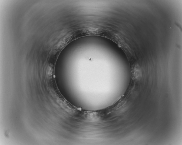 X0000103270472200808291244