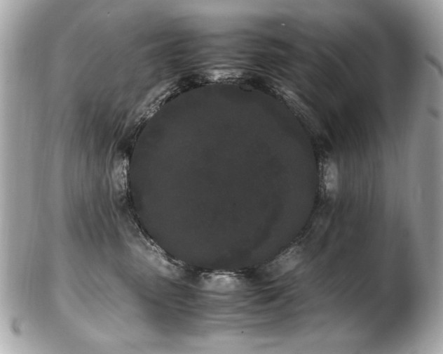 X0000103270475200808291244