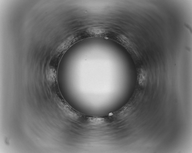 X0000103270476200808291244