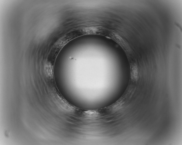 X0000103270477200808291244