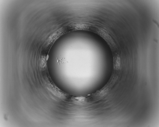 X0000103270478200808291244
