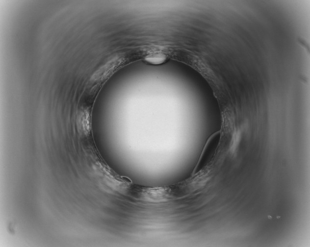 X0000103270479200808291244