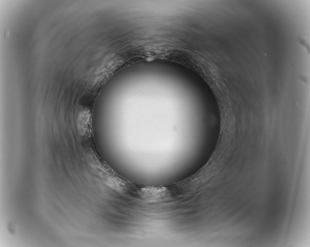 X0000103270480200808291244