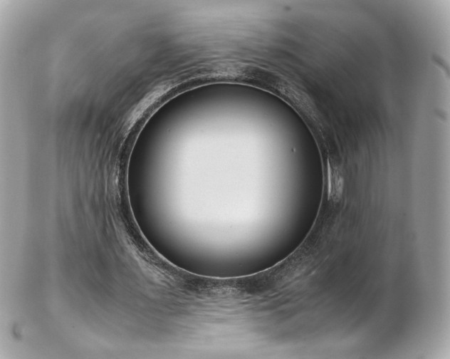 X0000103270483200808291244