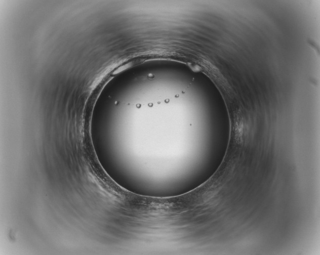 X0000103270484200808291243