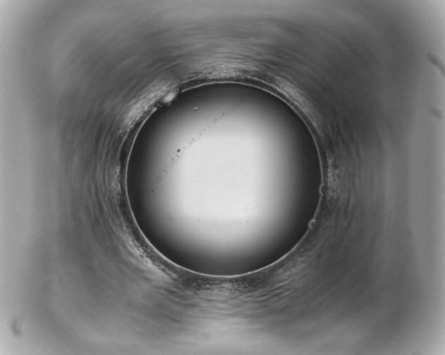 X0000103270485200808291243