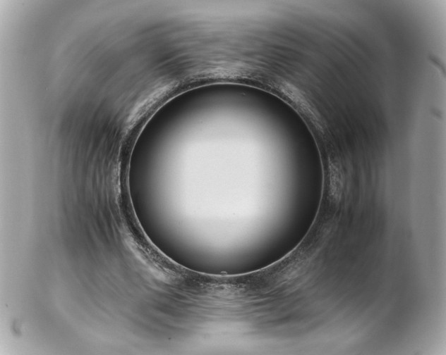 X0000103270486200808291243