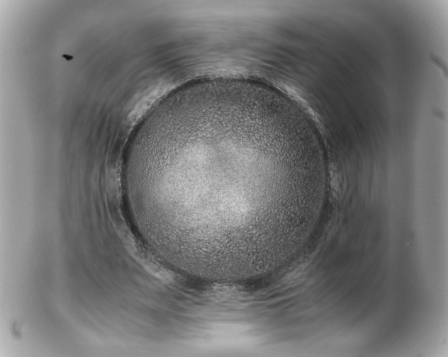 X0000103270487200808291243