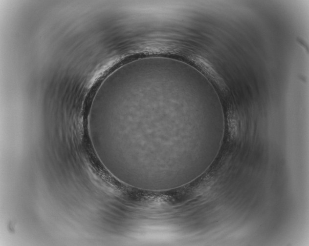 X0000103270488200808291243
