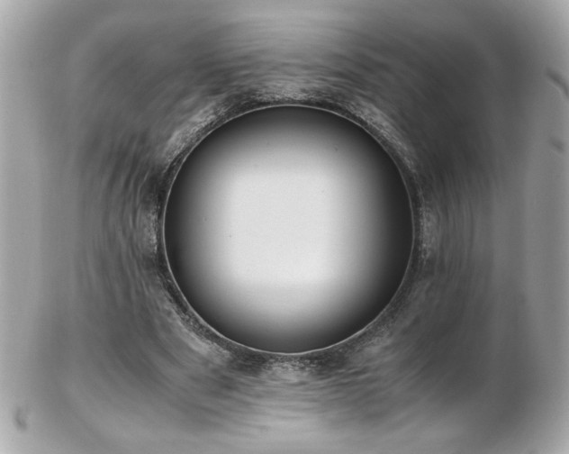 X0000103270489200808291243