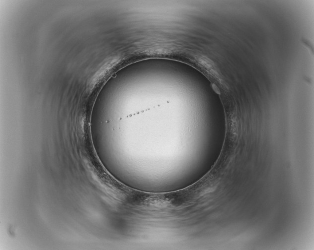 X0000103270491200808291243