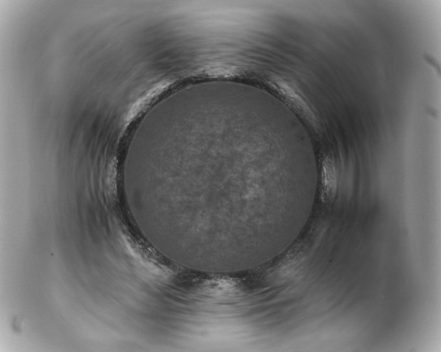 X0000103270492200808291243