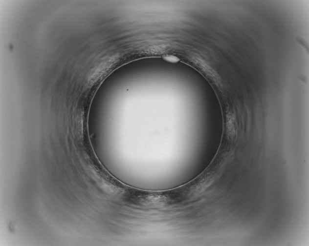X0000103270493200808291243