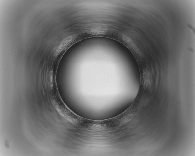 X0000103270494200808291243