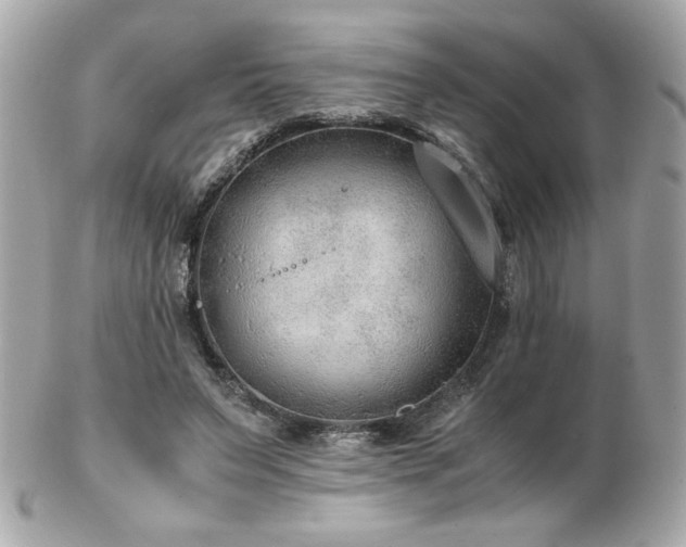X0000103270495200808291243