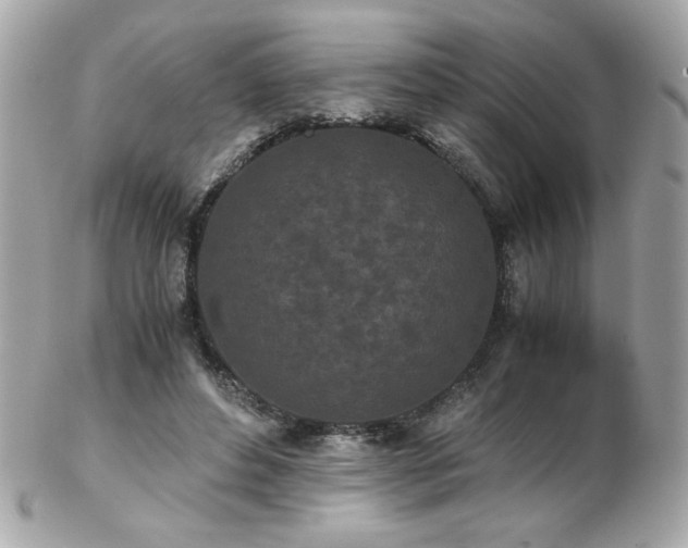X0000103270496200808291243