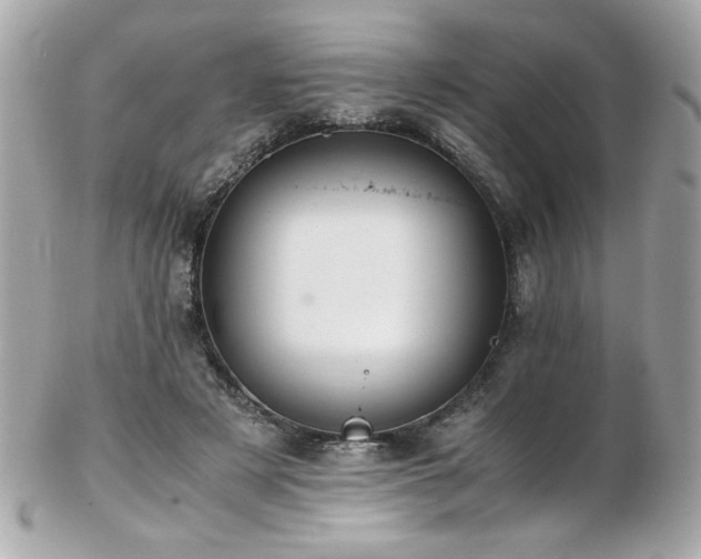 X0000103270497200808291243