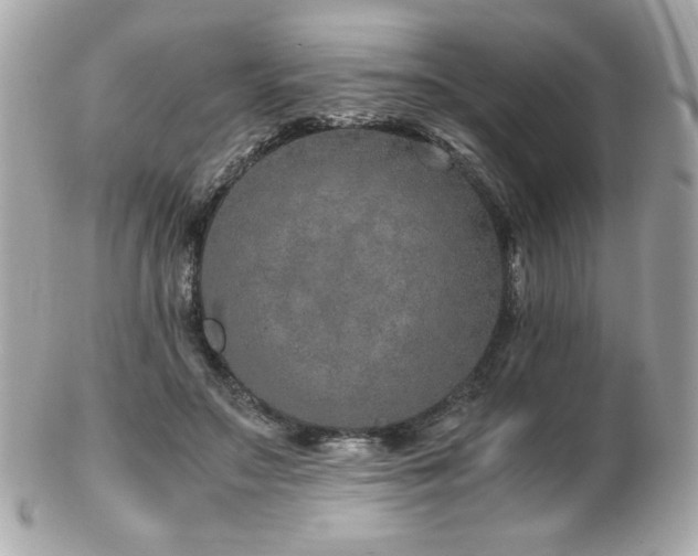 X0000103270499200808291243