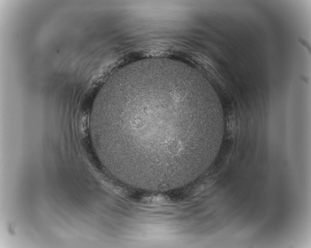 X0000103270503200808291243