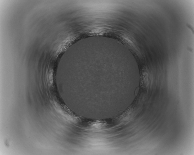 X0000103270504200808291243