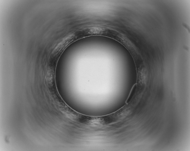 X0000103270505200808291243
