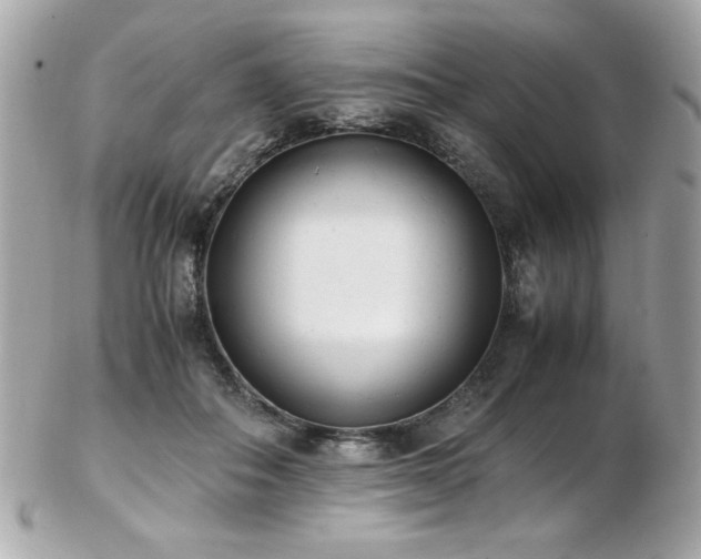 X0000103270506200808291243