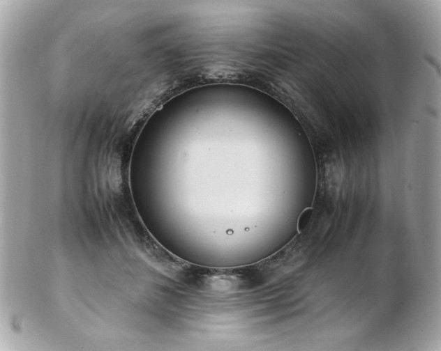 X0000103270508200808291243
