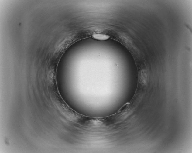 X0000103270509200808291243