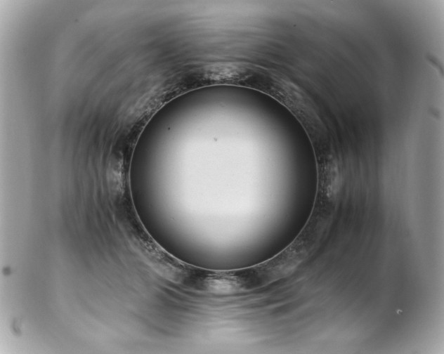 X0000103270510200808291243