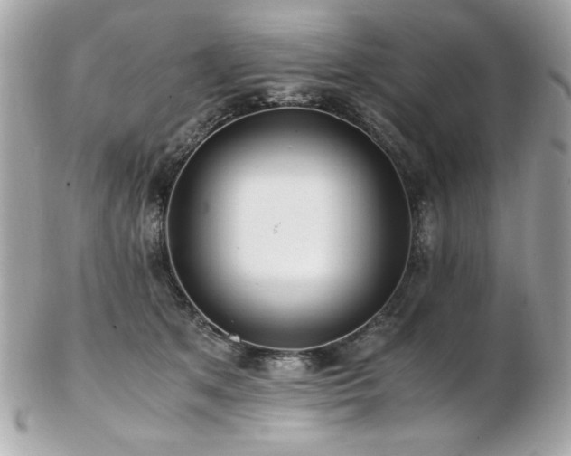X0000103270513200808291243